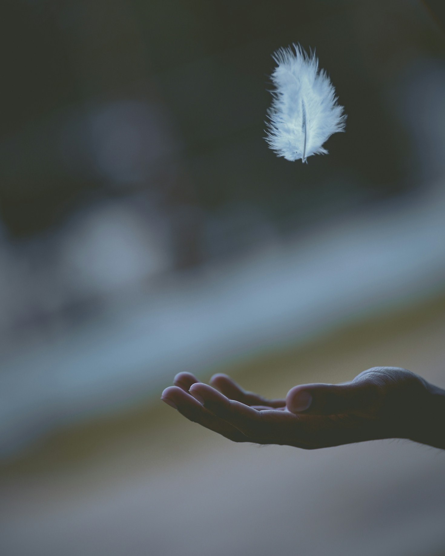 Mastering Emotions: A Guide to Self-Upgrades
